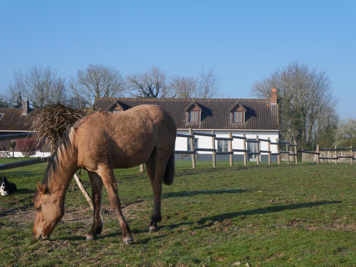 Chambres D'Hotes Et Gite De La Vieille Ecluse Quend Zewnętrze zdjęcie